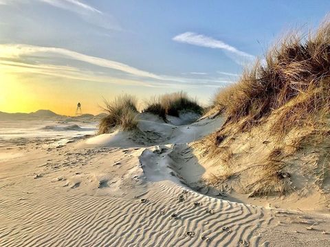 Parc Koudenburg - Camping Ameland - Image N°6