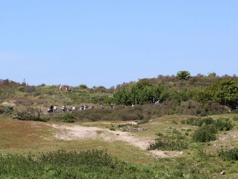 Molecaten Park Wijde Blick - Camping Renesse - Image N°28