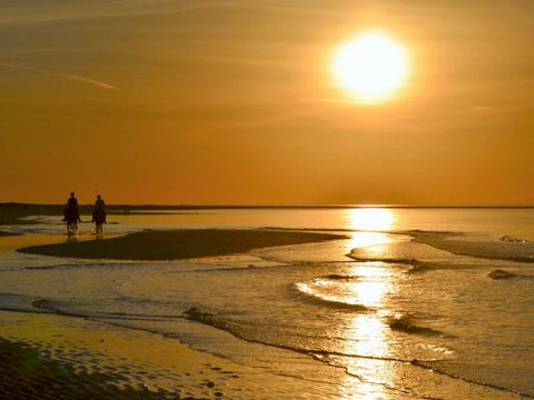 Molecaten Park Wijde Blick - Camping Renesse - Image N°25