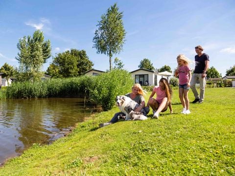 TopParken Recreatiepark Het Esmeer - Camping Zaltbommel - Image N°8