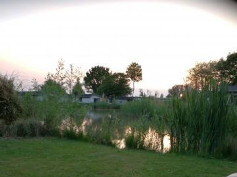 TopParken Recreatiepark Het Esmeer - Camping Zaltbommel - Image N°15