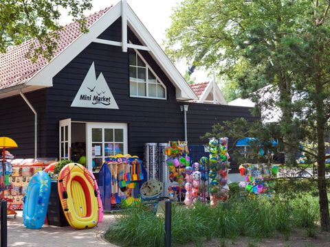 EuroParcs Bad Hoophuizen - Camping Apeldoorn - Image N°9