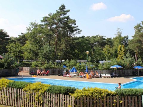 Molecaten Park De Koerberg - Camping Heerde - Image N°3