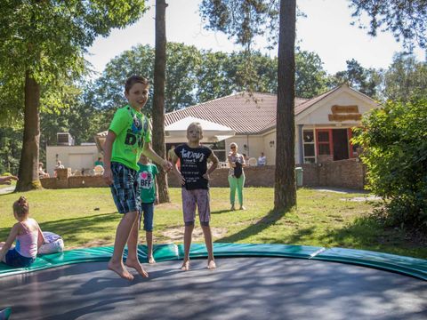 Molecaten Park De Koerberg - Camping Heerde - Image N°14