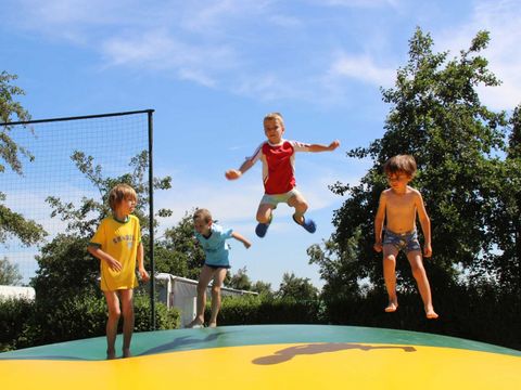 Molecaten Park Hoogduin - Camping Cadzand - Image N°5