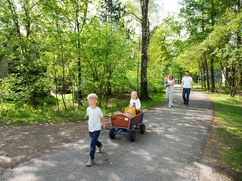 Roompot Bungalowpark Hoenderloo - Camping Apeldoorn - Image N°5