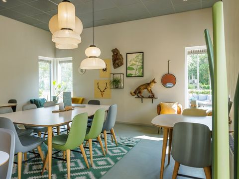 Roompot Bungalowpark Hoenderloo - Camping Apeldoorn - Image N°20