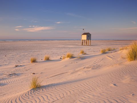 Landal Schuttersbos - Camping Terschelling - Image N°30