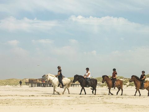 Landal Schuttersbos - Camping Terschelling - Image N°6