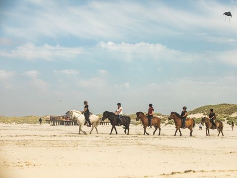 Landal Schuttersbos - Camping Terschelling - Image N°12