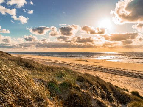 Landal Schuttersbos - Camping Terschelling - Image N°20