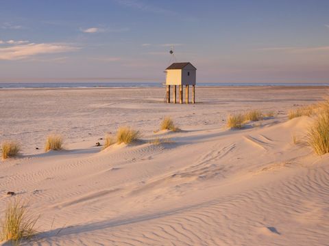 Landal Schuttersbos - Camping Terschelling - Image N°5