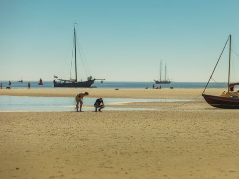 Landal Schuttersbos - Camping Terschelling - Image N°34