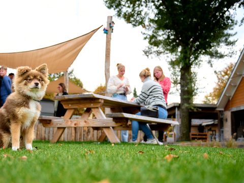 Landgoed de IJsvogel - Camping Barneveld - Image N°72