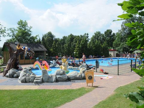 Veluwecamping 't Schinkel - Camping Apeldoorn - Image N°4