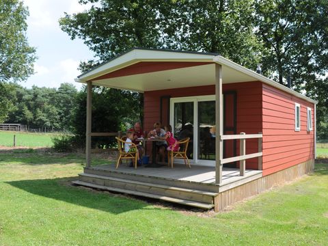 Veluwecamping 't Schinkel - Camping Apeldoorn - Image N°7