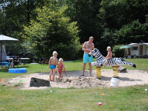 Veluwecamping 't Schinkel - Camping Apeldoorn - Image N°5