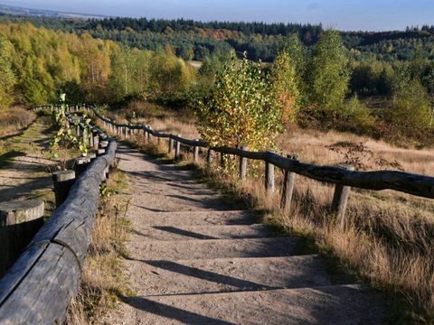 De Thijmse Berg - Camping Rhenen - Afbeelding N°2