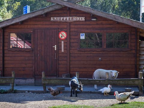 Oostappen park Marina Beach - Camping Terneuzen - Image N°37