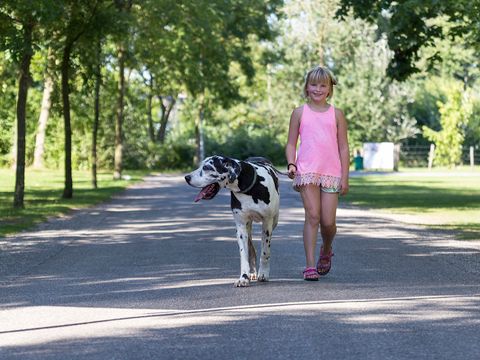 Oostappen park Marina Beach - Camping Terneuzen - Image N°35