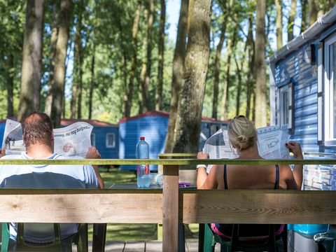 Oostappen park Marina Beach - Camping Terneuzen - Image N°33