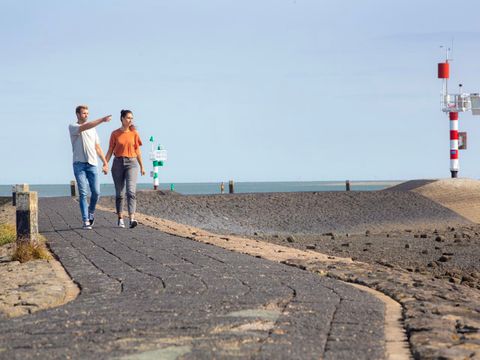 Landal West Terschelling - Camping Terschelling - Image N°4