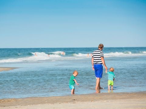 Landal West Terschelling - Camping Terschelling - Image N°35