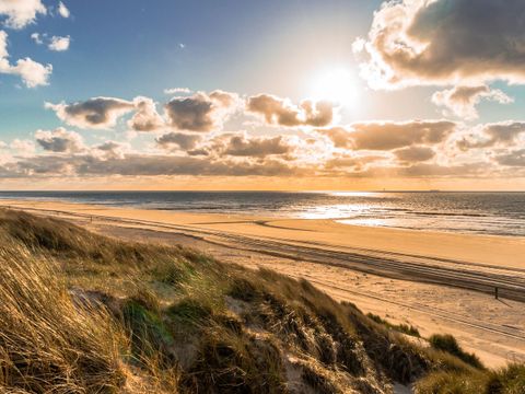 Landal West Terschelling - Camping Terschelling - Image N°7