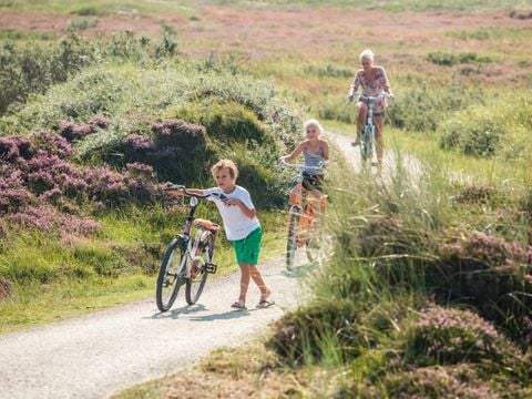 Landal West Terschelling - Camping Terschelling - Image N°32