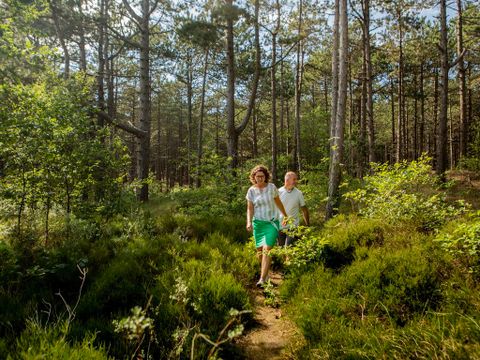 Landal West Terschelling - Camping Terschelling - Image N°4