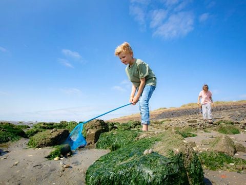 Landal West Terschelling - Camping Terschelling