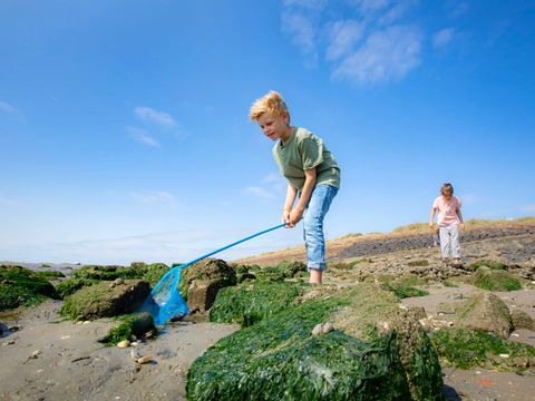 Landal West Terschelling - Camping Terschelling - Afbeelding N°0