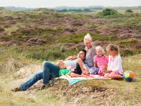 Landal West Terschelling - Camping Terschelling - Image N°33