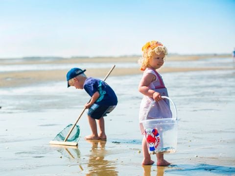 Landal West Terschelling - Camping Terschelling - Image N°37