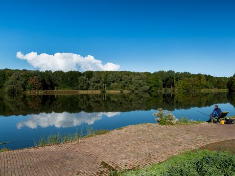 EuroParcs Spaarnwoude - Camping Haarlemmermeer - Image N°66