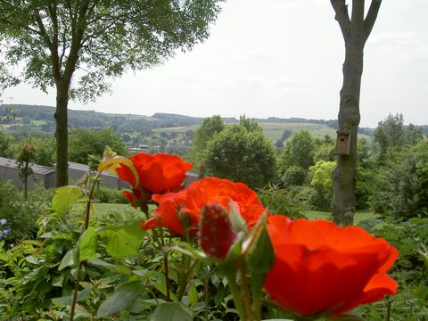 Roompot Vakantiepark Schin op Geul - Camping Valkenburg Aan de Geul - Image N°26