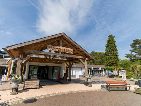 Vakantiepark Westerbergen - Camping De Wolden - Image N°36