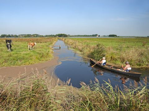 Recreatiecentrum Bergumermeer - Camping Tietjerksteradeel - Image N°60