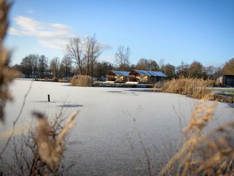 Recreatiecentrum Bergumermeer - Camping Tietjerksteradeel - Image N°39