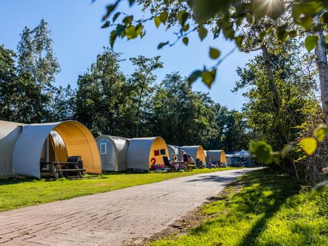 Recreatiecentrum Bergumermeer - Camping Tietjerksteradeel - Image N°14