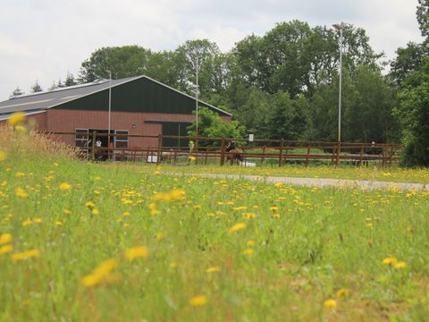 Horsetellerie Rheezerveen - Camping Hardenberg - Image N°31