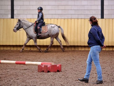 Horsetellerie Rheezerveen - Camping Hardenberg - Image N°30