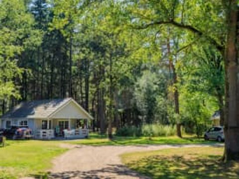 RCN Vakantiepark de Flaasbloem - Camping Brabant-du-Nord - Image N°50