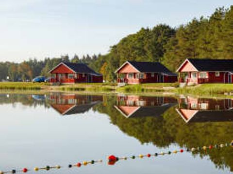 RCN Vakantiepark de Flaasbloem - Camping Brabant-du-Nord - Image N°54