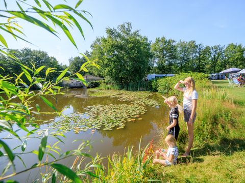 RCN Vakantiepark de Flaasbloem - Camping Brabant-du-Nord - Image N°23