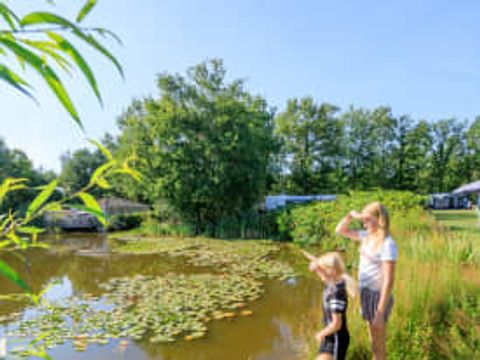 RCN Vakantiepark de Flaasbloem - Camping Brabant-du-Nord - Image N°46