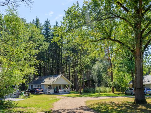 RCN Vakantiepark de Flaasbloem - Camping Brabant-du-Nord