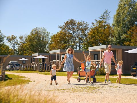 RCN Vakantiepark Toppershoedje - Camping Goeree-Overflakkee - Image N°8