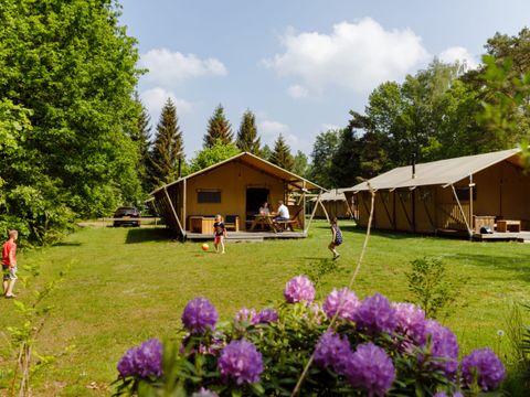 TENTE TOILE ET BOIS 7 personnes - Tente safari de Wold Lodge