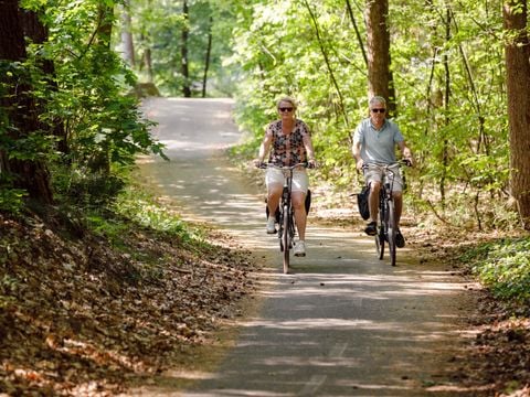 Parc de vacances RCN De Roggeberg - Camping Ooststellingwerf - Image N°13